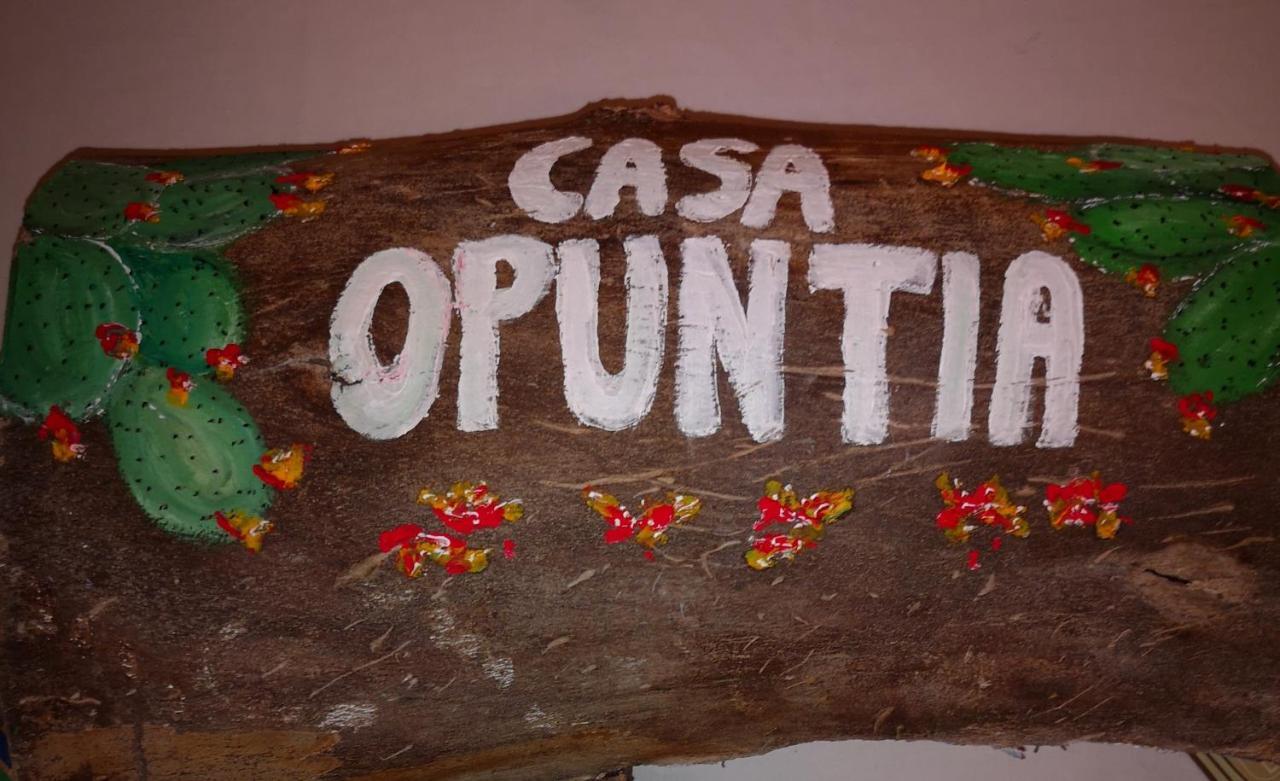 Pappaygiannades Casa Opuntiaヴィラ エクステリア 写真