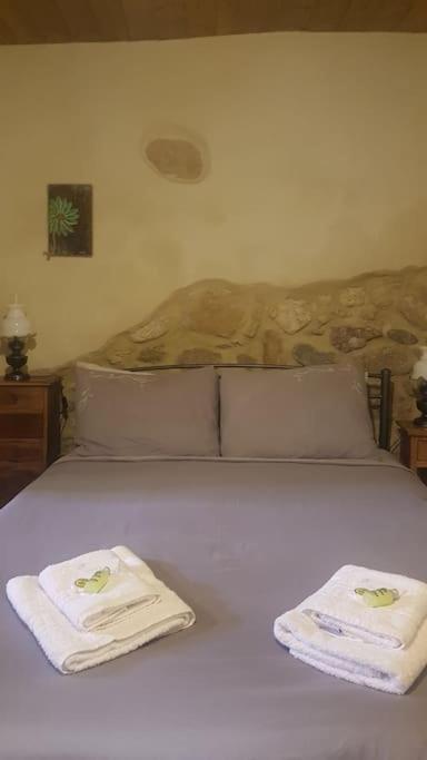 Pappaygiannades Casa Opuntiaヴィラ エクステリア 写真